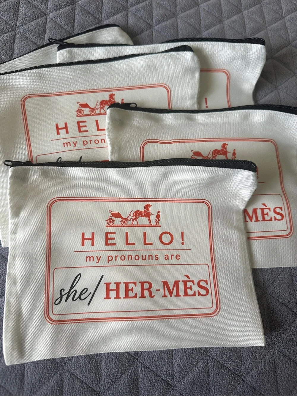 Canvas Pronouns Zip Pouch 😅
